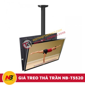 Giá Treo Tii Nhập Khẩu Thả Trần NB-T5520-3